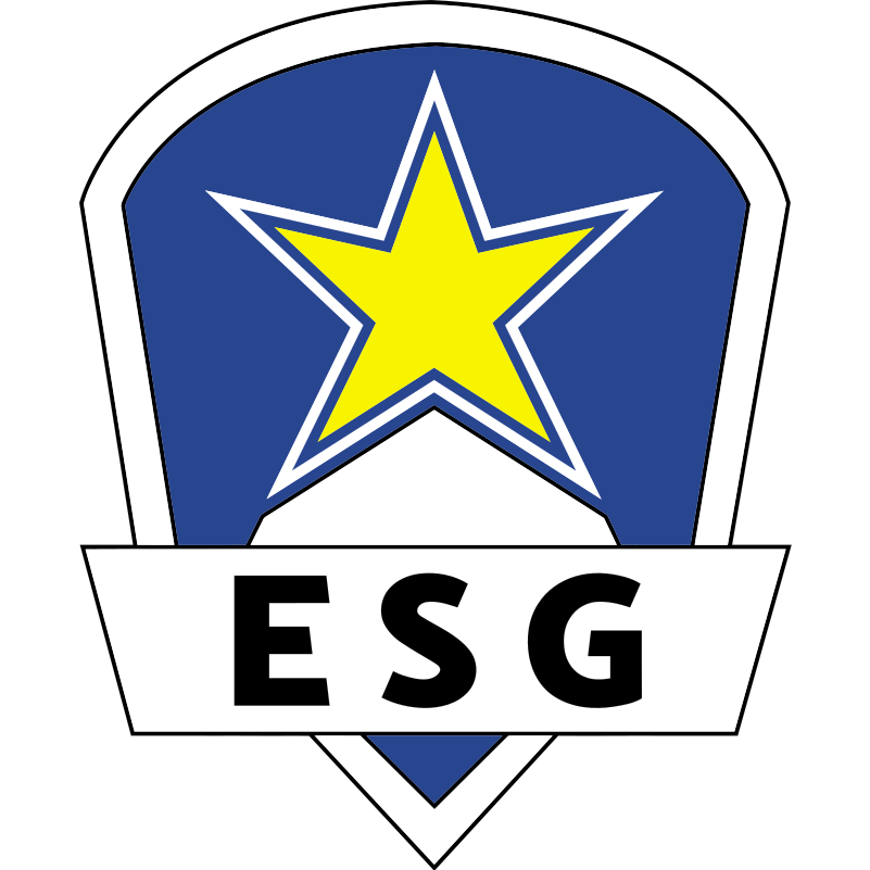 LNG Esports